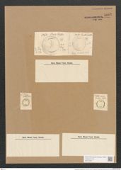 Campylodiscus punctulatus Grun. (de-Toni-Nr.: Genus 57, Species 2511) Zeichnungen Sammlung Grunow Nr. 5025 (NHMW-BOT-W0373281)